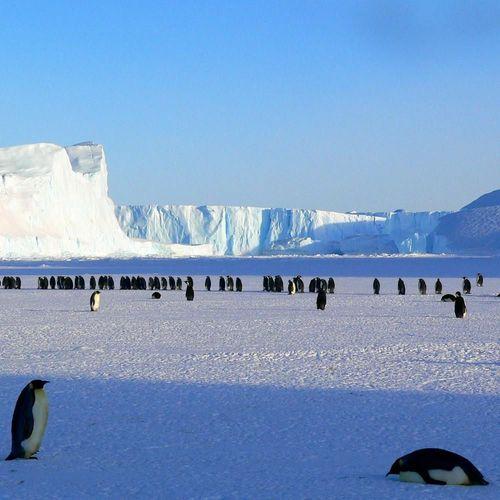 Antarctica